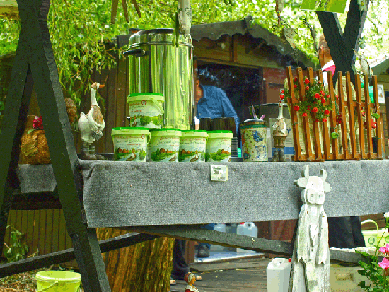 Jahresausflug Cottbus/Spreewald/Berlin 2015